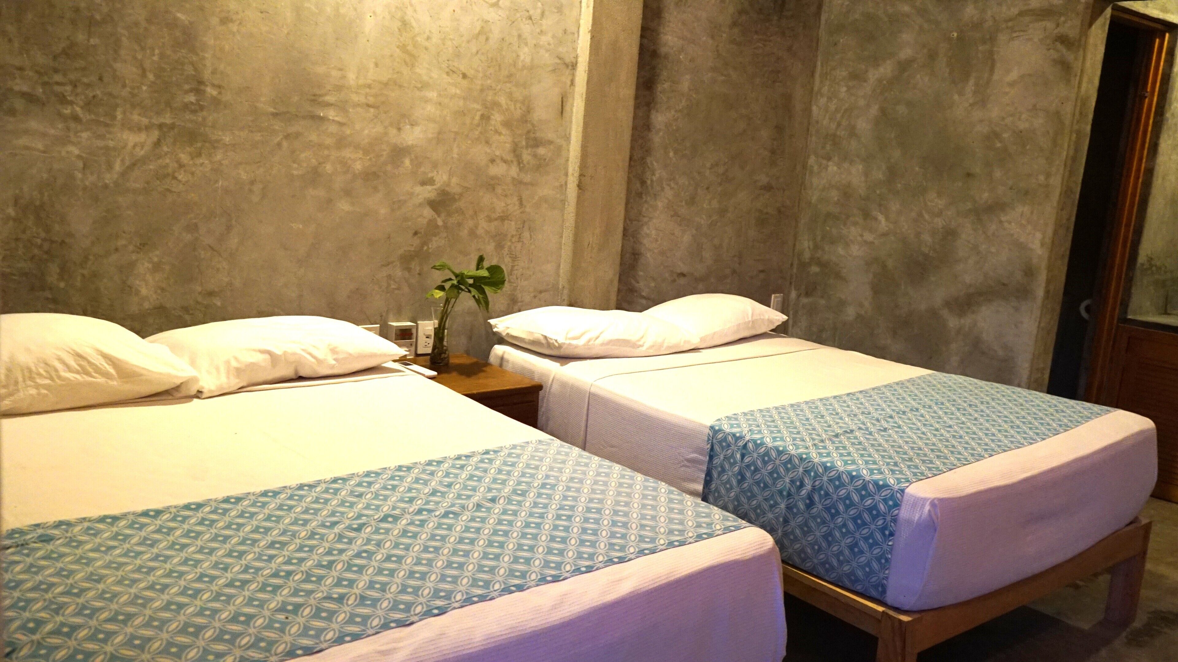 A room with two single beds, a bedside table with a plant, and a wooden door.