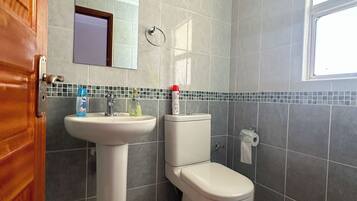 Hair dryer, towels, soap, toilet paper