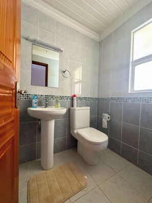 Hair dryer, towels, soap, toilet paper