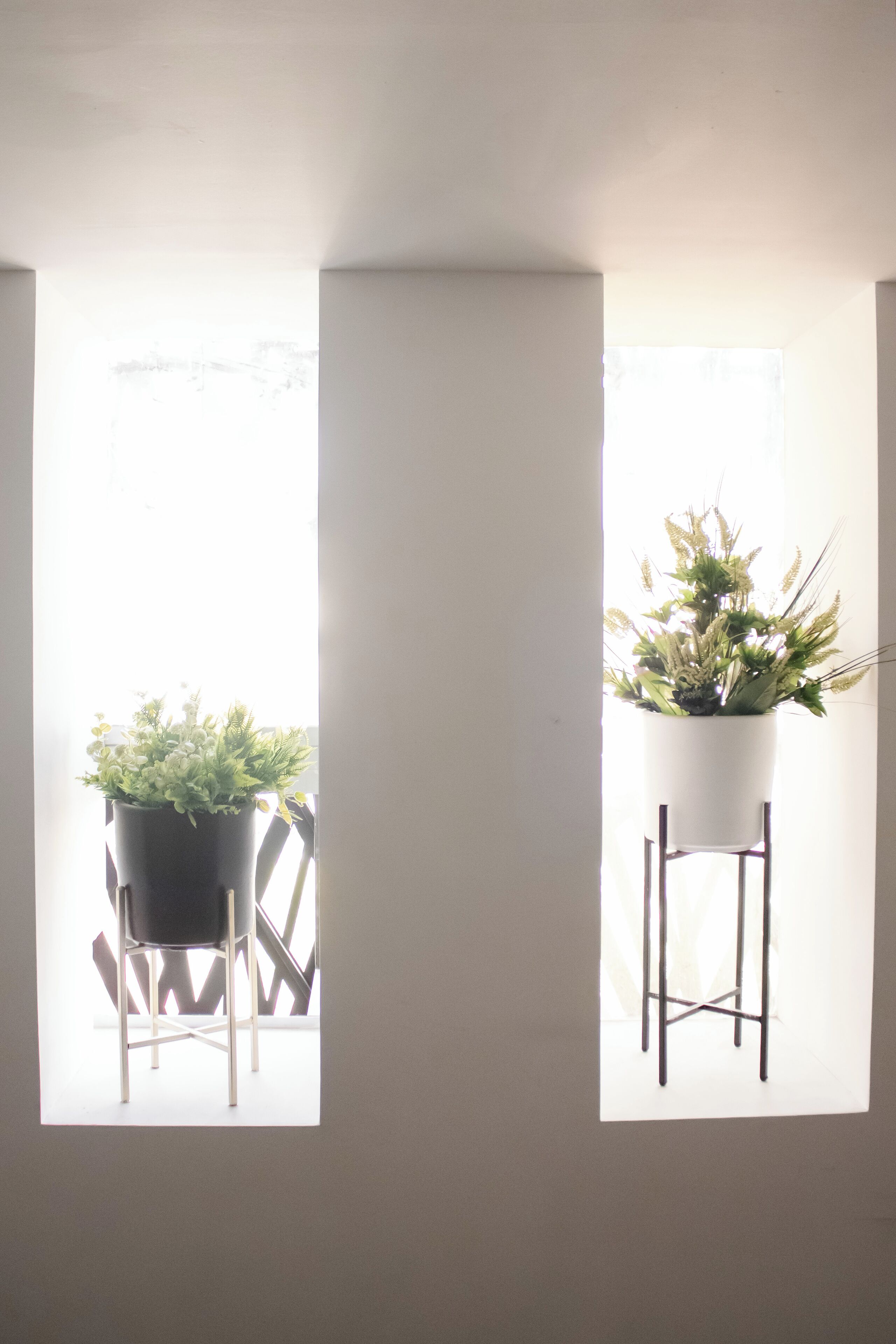 Dos plantas en macetas sobre pedestales cerca de una ventana, con una silla al frente.