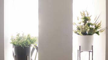 Two potted plants on stands near a window with a chair in the foreground.