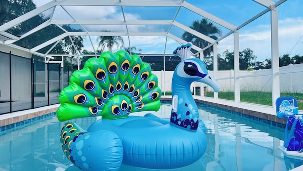 Une piscine agrémentée de décorations gonflables, une structure fermée par des parois de verre et un panier de basketball.