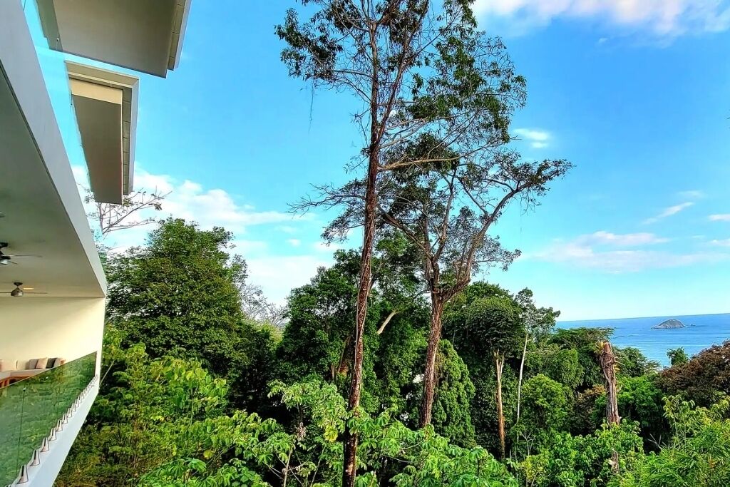 A building with a balcony overlooking a dense forest and a clear view of the ocean.