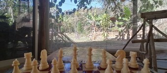 Private jungle ecolodge - whole estate & cafés