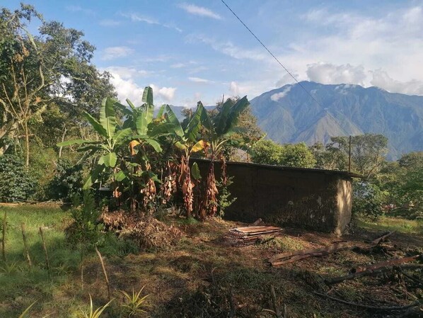 Miscellaneous - Private jungle ecolodge - whole estate & cafés (Quillabamba)