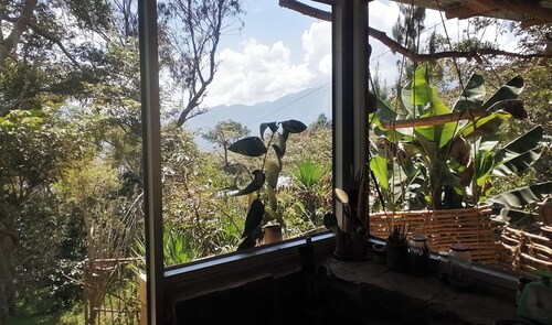 Private jungle ecolodge - whole estate & cafés