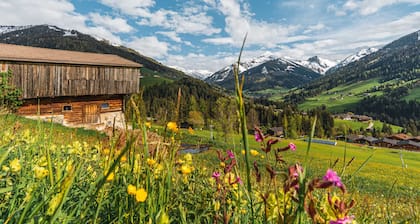 ALTE MÜHLE LOFT - Balcony & Mountain View