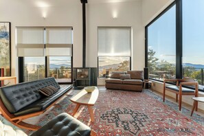 TV, fireplace, books