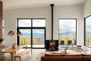 Televisie, een open haard en boeken