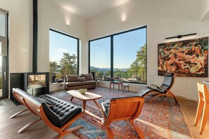 TV, fireplace, books