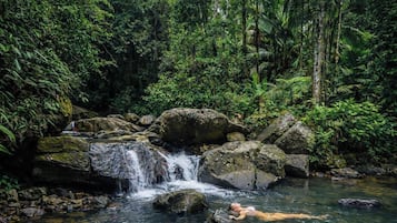 A natural waterfall surrounded by dense greenery.