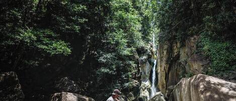 A person sitting on a rock by a waterfall in a forested area.