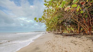 Una spiaggia con un litorale sabbioso, onde e una fila di alberi.
