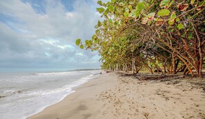 A beach with a sandy shore, waves, and a line of trees. - New KeyPöint: Tröpical House with incredible view! (Palomino)
