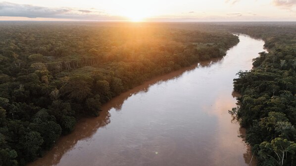 A river winding through a dense forest with a sunrise or sunset in the background. - Explorers Inn (Tambopata)