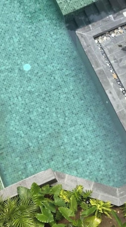 ์ผ์ธ ์์์ฅ