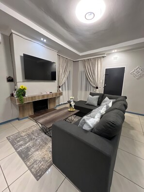 Fernseher