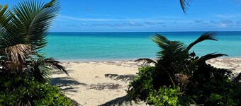 Roatan Infinity Pool & Ocean View