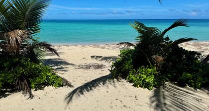 Roatan Infinity Pool & Ocean View