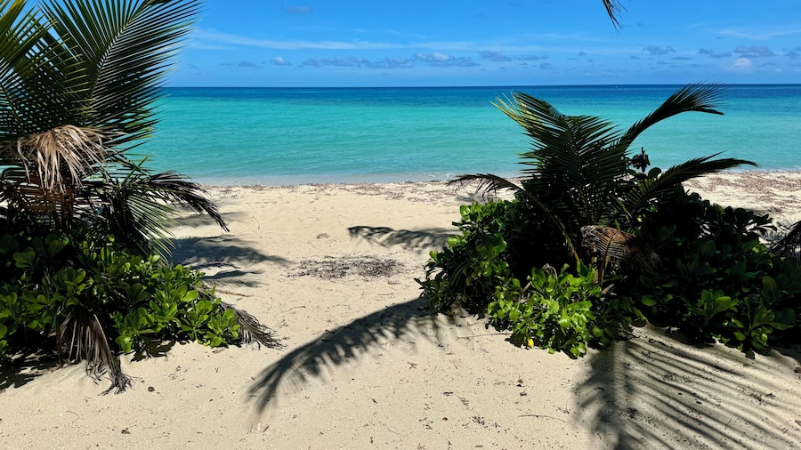 Roatan Infinity Pool & Ocean View