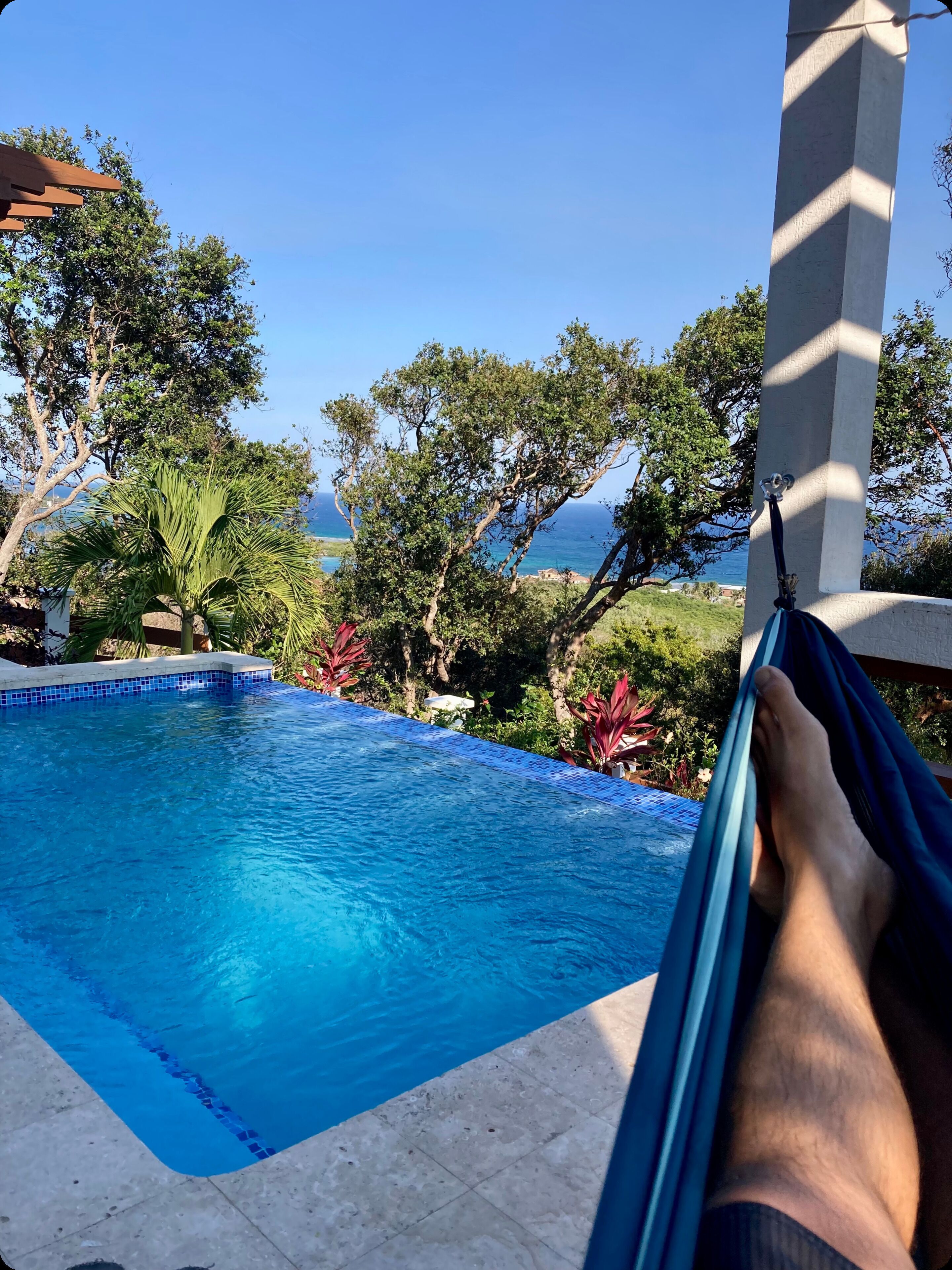 Une piscine à l’eau d’un bleu cristallin, entourée de verdure et offrant une vue sur la mer.