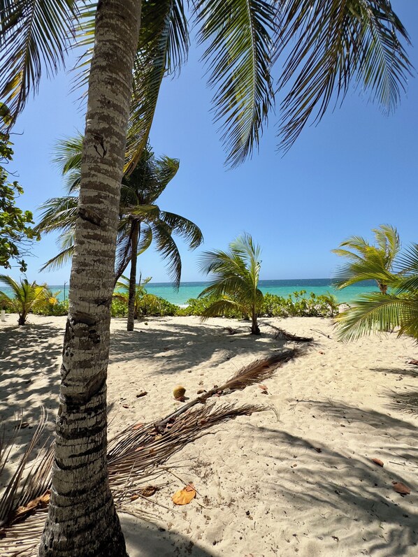 Kayaking - Roatan Infinity Pool & Ocean View (Roatan)