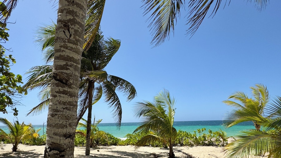 Roatan Infinity Pool & Ocean View