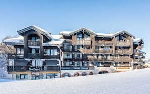 View from property - Residence Le Grand Morillon (Morillon)