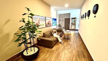 A modern living room with a wooden floor, a large potted plant, a sofa, and a coffee table.