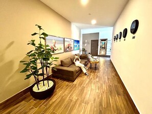A modern living room with a wooden floor, a large potted plant, a sofa, and a coffee table. - Sky Inn Hotel (Cancun)