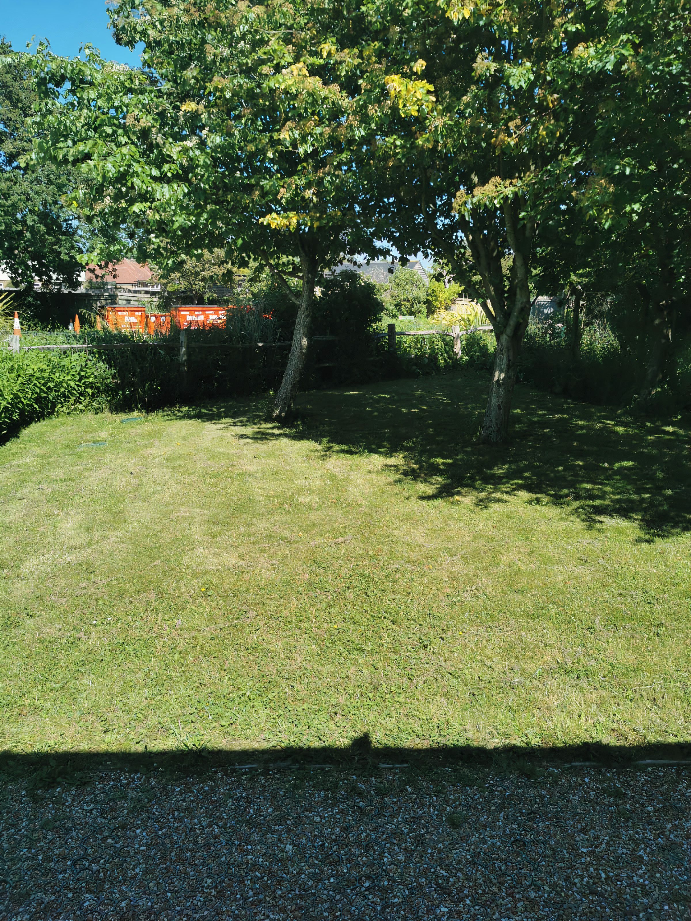 A grassy outdoor area with trees and a gravel path.