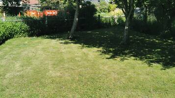 A grassy outdoor area with trees and a gravel path.