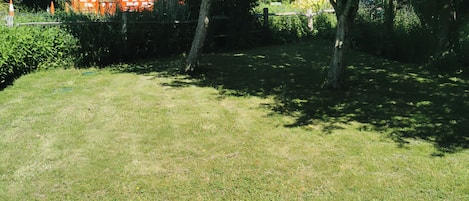 Un espace extérieur verdoyant, avec des arbres et un chemin de gravier.