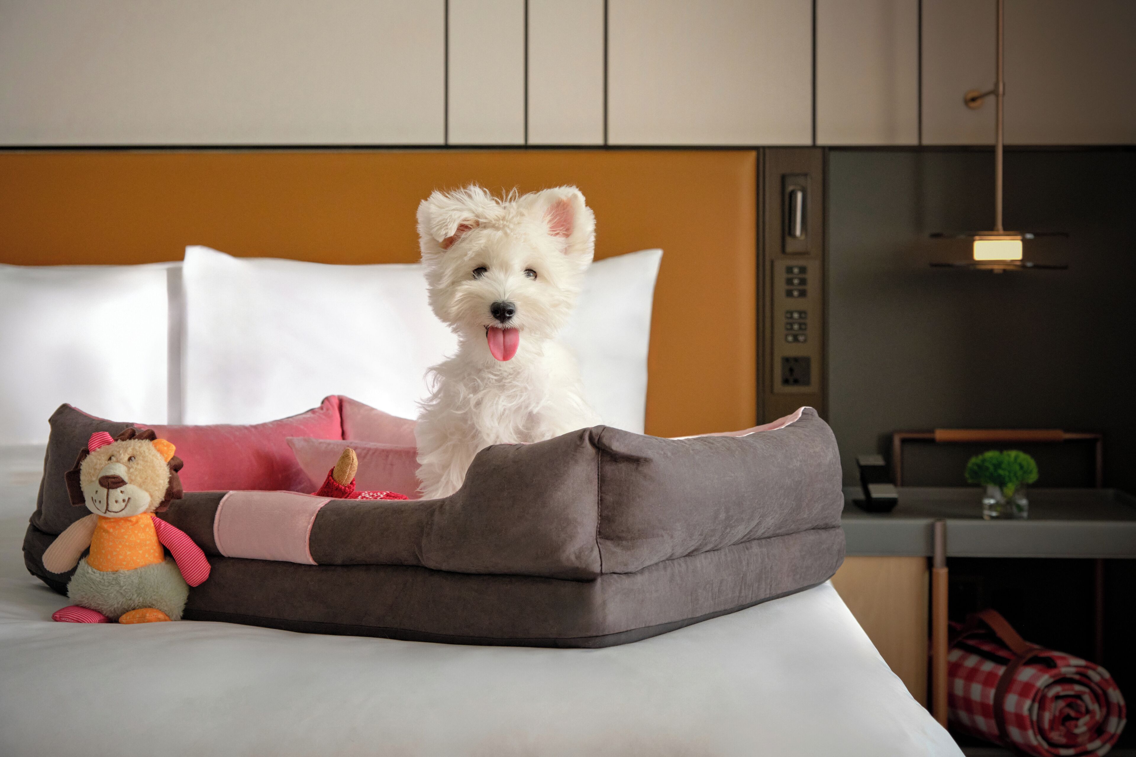 Minibar, in-room safe, blackout drapes, soundproofing