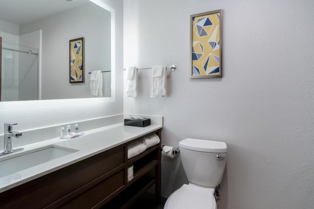 A modern bathroom with a white sink, a mirror, a toilet, and two abstract paintings on the wall.