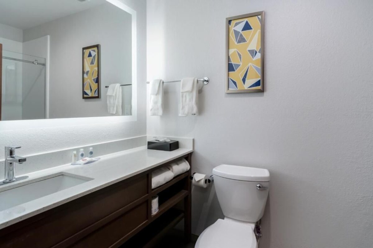 A modern bathroom with a white sink, a mirror, a toilet, and two abstract paintings on the wall.