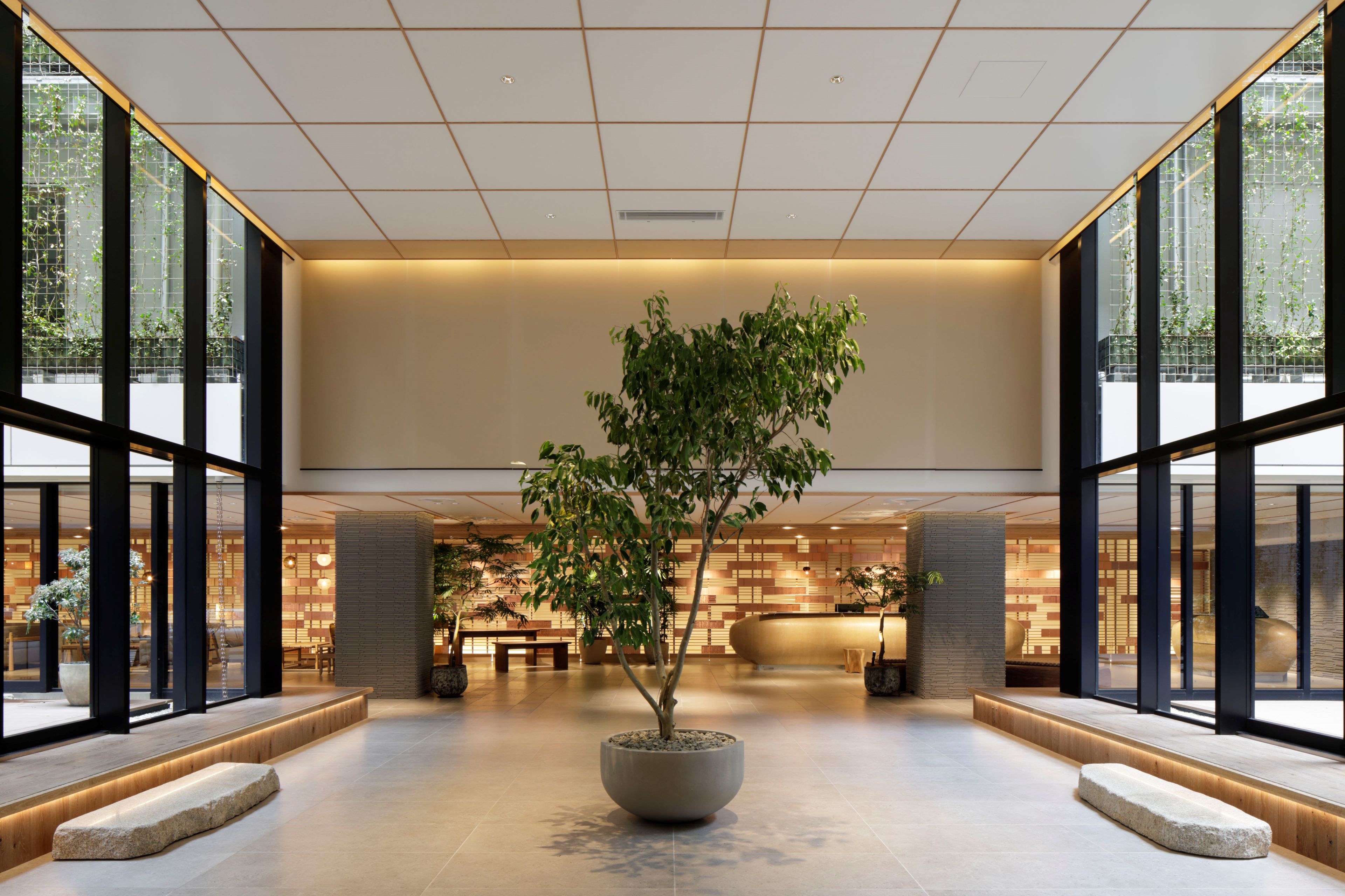 A spacious lobby with a central tree, large windows, and a reception area in the background.