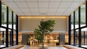 Un hall d’entrée spacieux, agrémenté d’un arbre central, de grandes fenêtres et d’un comptoir d’accueil situé au fond.