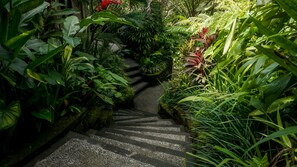Un escalier en pierre, entouré d’une végétation tropicale luxuriante.