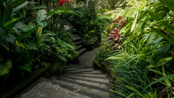 A stone staircase surrounded by lush tropical foliage. - Sakti Garden Resort & Spa (Ubud)