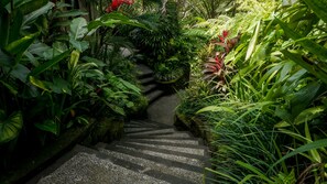 Vistas desde el alojamiento