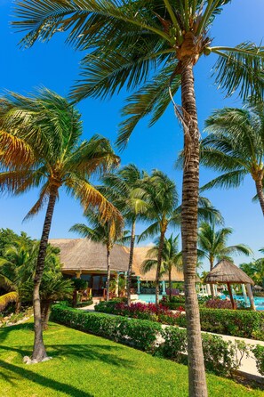 Vista desde la propiedad