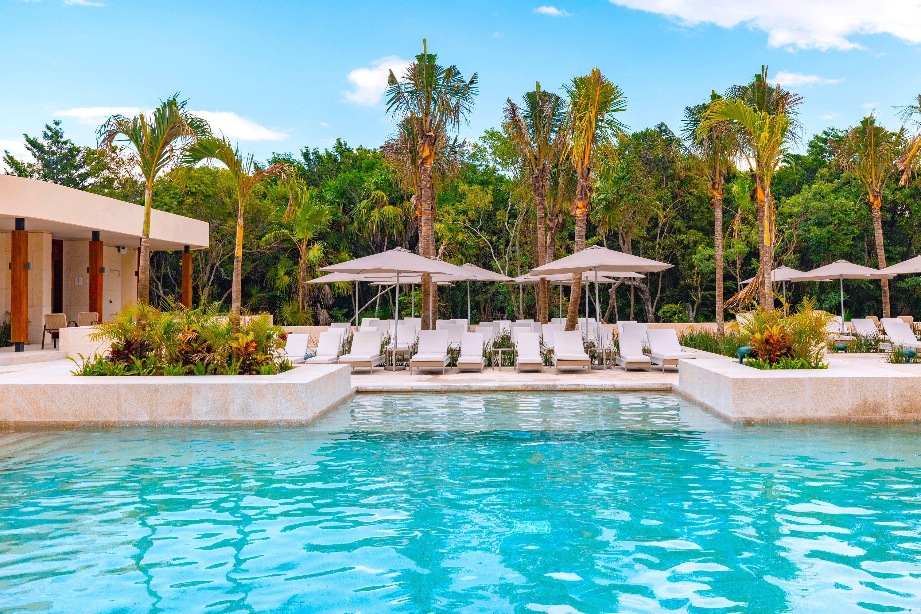 Un área de piscina con sillones de descanso y sombrillas, rodeada de palmeras y un edificio.