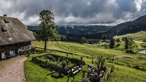 A rural landscape with a house, a tree, and rolling hills in the background. - Apartment 'Feldberg' with Shared Garden, Balcony and Wi-Fi (Hinterzarten)