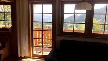 TV, fireplace, DVD player, ping pong