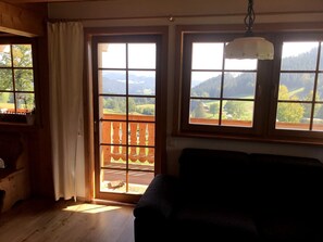 TV, fireplace, DVD player, table tennis