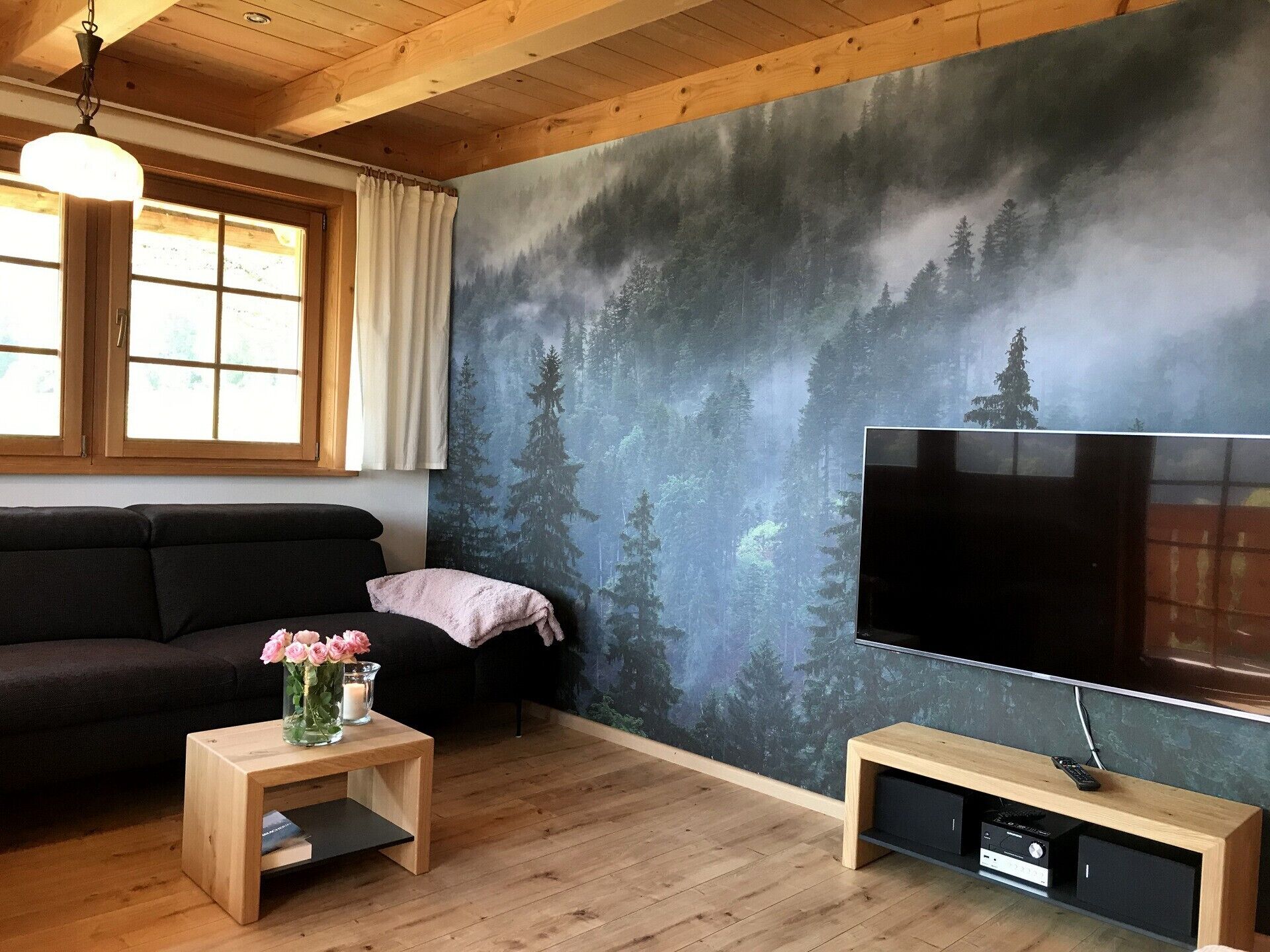 TV, caminetto, lettore DVD, tavolo da ping pong