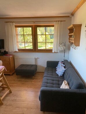 Fernseher, DVD-Player, Tischtennisplatte, Stereoanlage