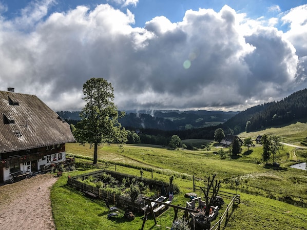 Ländliche Landschaft mit einem Haus, einem Baum und sanft ansteigenden Hügeln im Hintergrund.