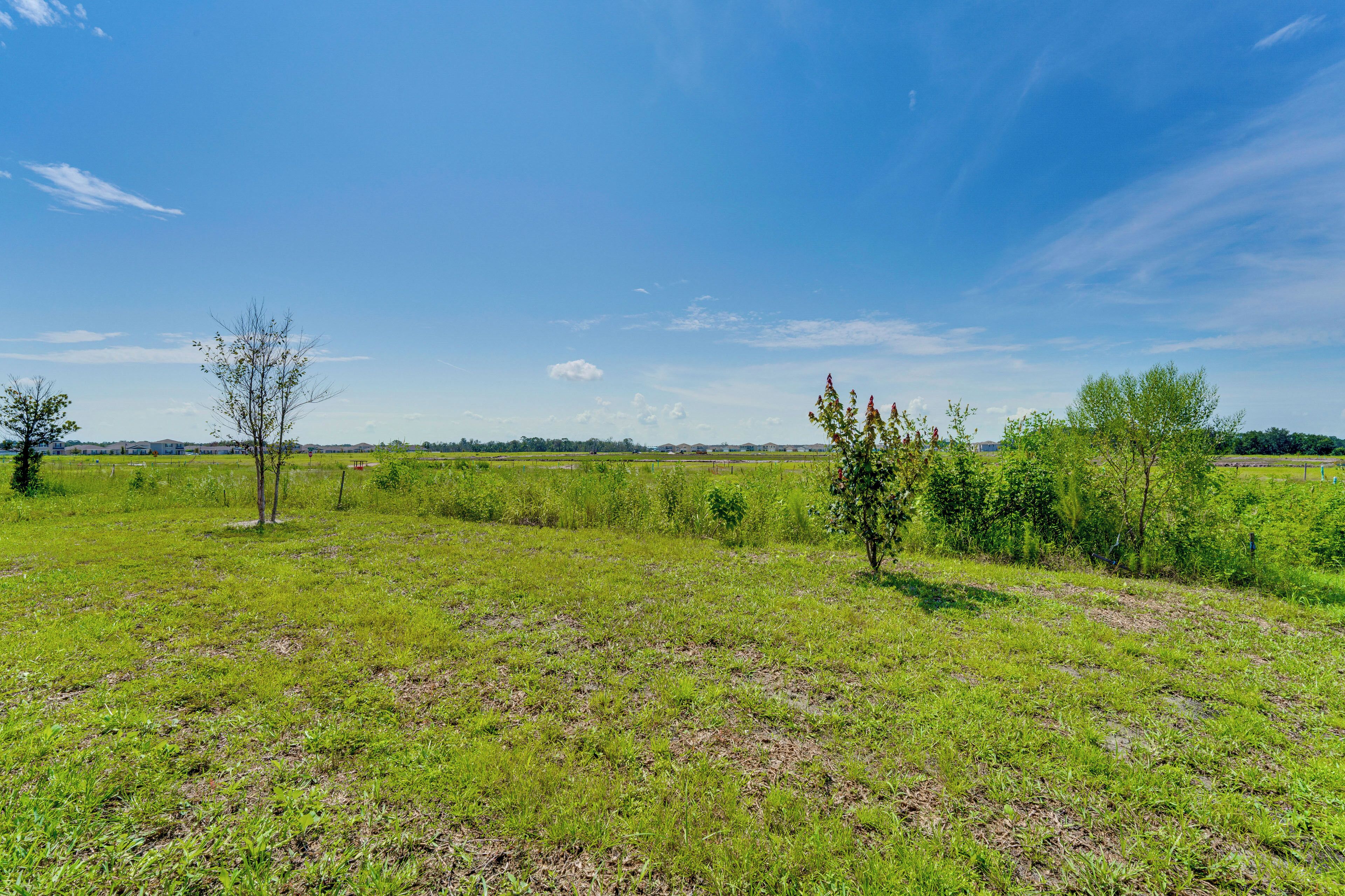 A grassy field with trees and a clear sky.